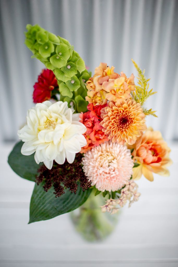 Season Cost Regular Sized