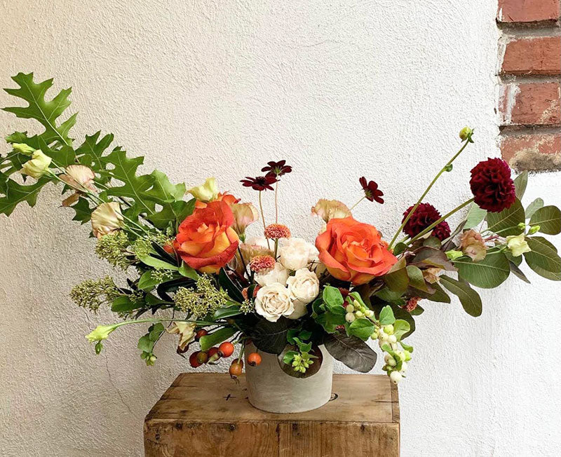 Season Cost Large Sized